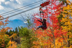 A person ziplines at the Olympic Jumping Complex with bright fall colors in the background.